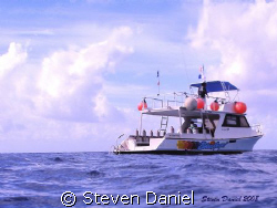 The Blue Angel Divers  No Problem waiting for their Diver... by Steven Daniel 